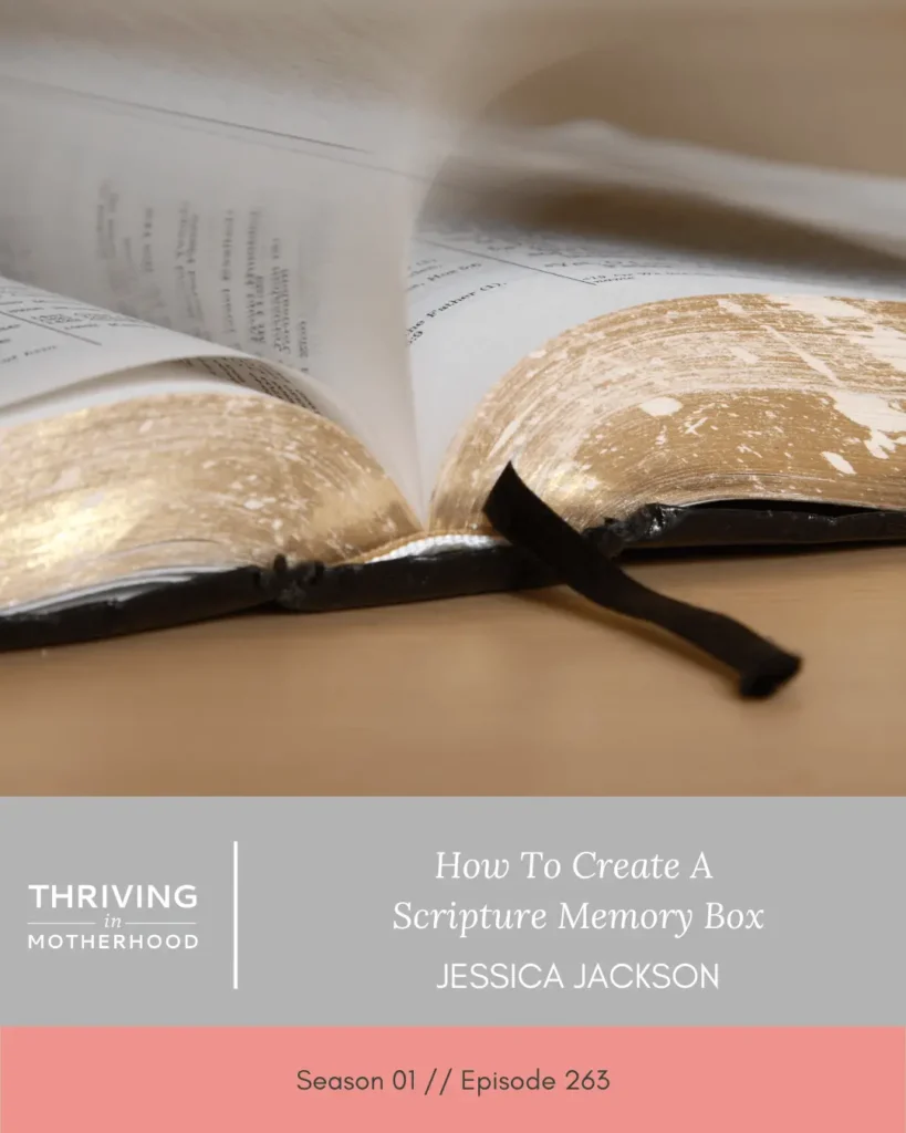 Scripture Memory Box [Episode 263]