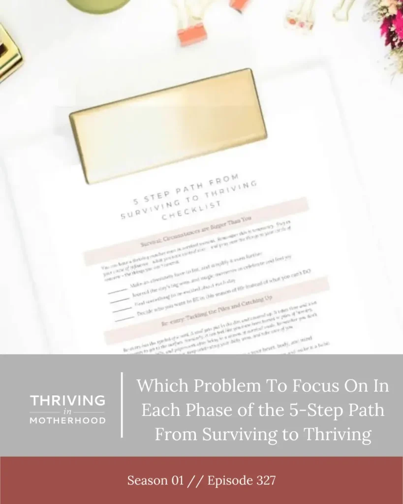 Which Problems to Focus on In Each Phase on the 5 Step Path From Surviving to Thriving [Episode 327]